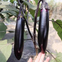 Spring-Autumn Long Eggplant Seeds, 0.5g