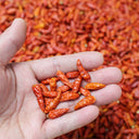 Bird's Eye Chili, 25 Seeds