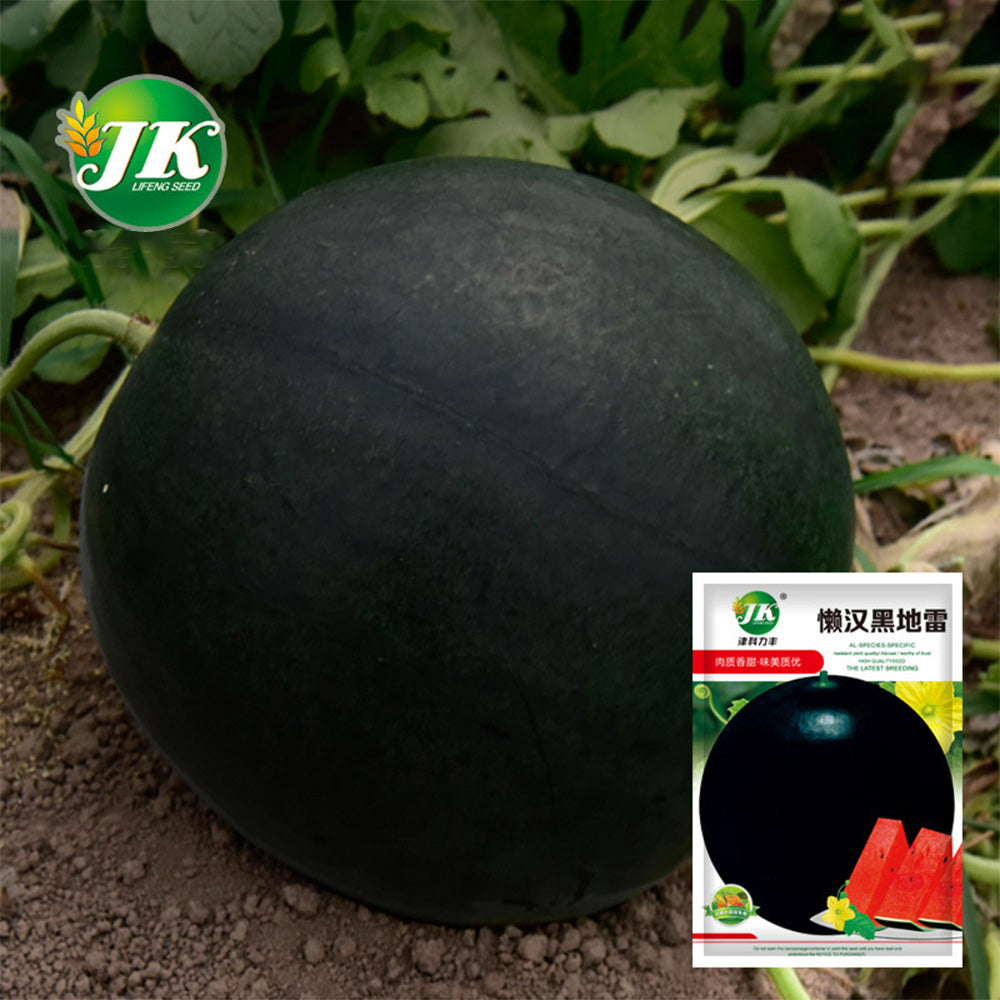 'Black Landmine' Watermelon Seeds