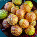 Tigger Melon (Cucumis melo) Seeds, 20 Seeds