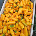 Mini Yellow Sweet Pepper, 10 Seeds