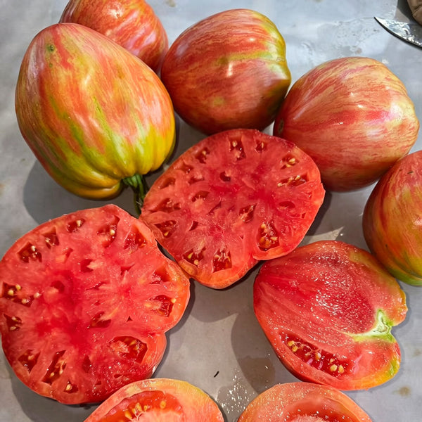 616 Long Tall Sally Tomato, 5 Seeds