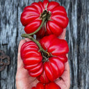 Mushroom Basket Tomato, 20~30 Seeds