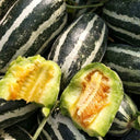 'Boyang No.9' Sesame Honey Melon, 500 Seeds