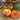 690 King Blue Tomato, 5 Seeds