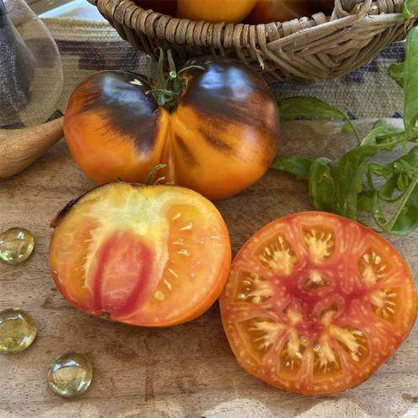 690 King Blue Tomato, 5 Seeds
