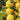 Super Sweet Yellow Peach Fruit Tomato, 100 Seeds