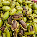 Pecan, 5 Seeds