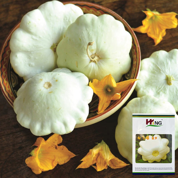 'White Flying Saucer' Gourd, 20 Seeds