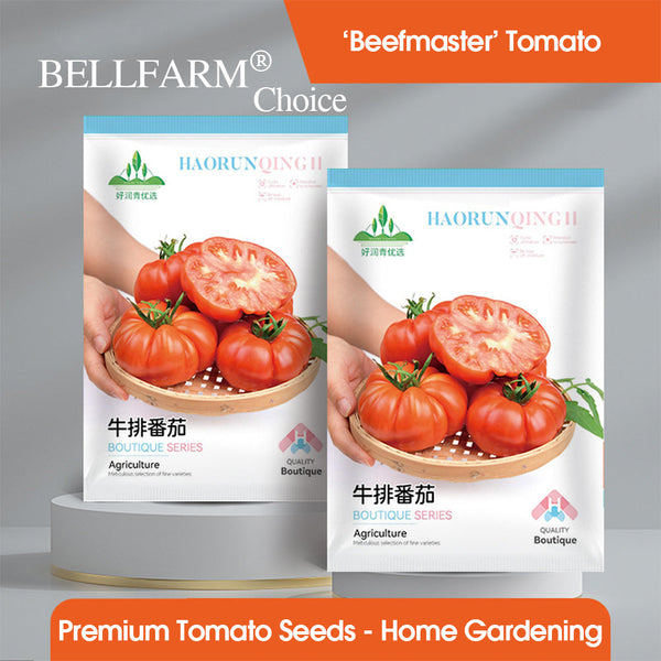 'Beefsteak' Beefmaster Tomato