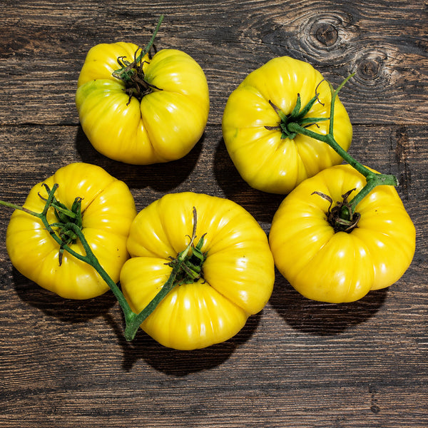 55 T.C. Jones Tomato, 5 Seeds