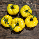 55 T.C. Jones Tomato, 5 Seeds