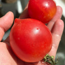 Spring Peach Heart Tomato, 10 Seeds