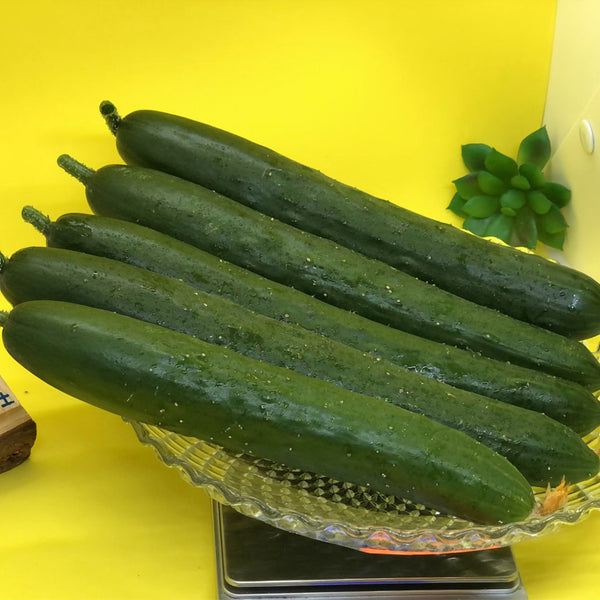 Guangliang No.74 Fruit Cucumber Seeds, 100 Seeds