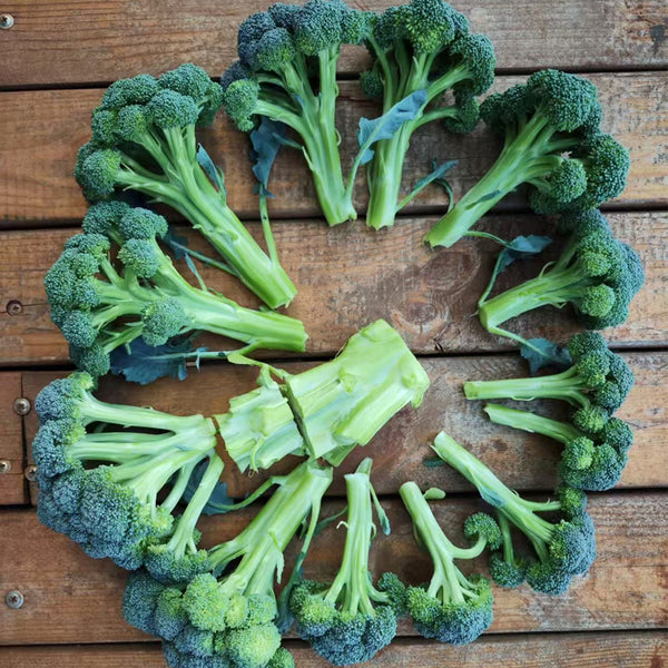 Green Sprouting Broccoli No.2 Hybrid Seeds, 30 Seeds