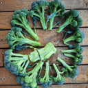 Green Sprouting Broccoli No.2 Hybrid Seeds, 30 Seeds