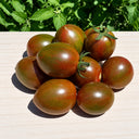 143 Purple Fairy Dwarf Tomato, 5 Seeds