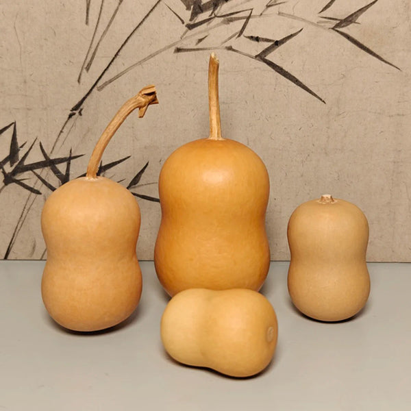 Guoguo Gourd, 10 Seeds