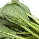 Jiamei Komatsuna Seeds, 10g