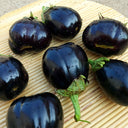 'Black Beauty' Eggplant Seeds