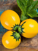 Round zucchini, Yellow