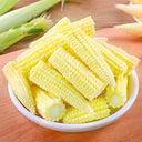 F1 Sweet Baby Corn Seeds, Pkt of 50