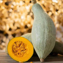 Noble Pumpkin Hybrid Seeds
