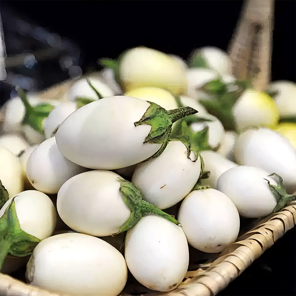 'White Baby' Round Eggplant Seeds