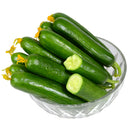 Dutch Thornless Sweet Crisp Cucumber