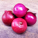 Red Onion Seeds