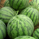 'Rainbow Ice Cream' Watermelon Seeds