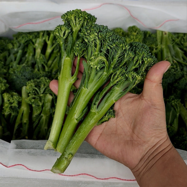 Haiwang Songqing Broccoli, 50 Seeds
