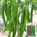 Xiangla No.6 Chili Pepper Seeds, 60 Seeds