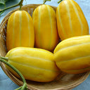 Golden Honey Melon Seeds, ~100 Seeds
