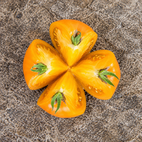 96 Cherokee Tiger Orange Dwarf Tomato, 5 Seeds