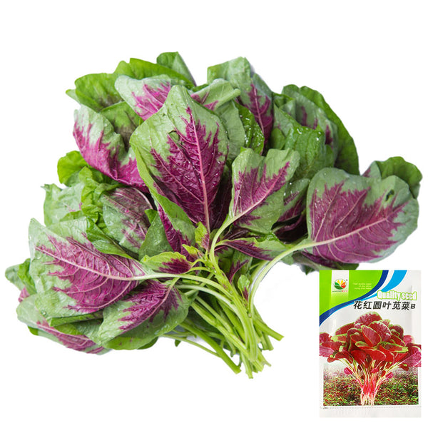Red-Green Round-leaf Amaranth Seeds, 50g