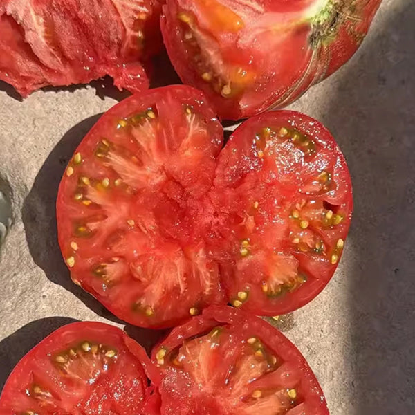 Krim Tomato, 10 Seeds