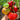 58 Wonder Tomato, 5 Seeds