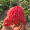 28 Teton de Venus Tomato, 5 Seeds