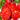 777 Strawberry Heart Tomato, 5 Seeds