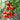 464 Dwarf Pink Passion Tomato, 5 Seeds