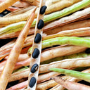 Black Cowpea, 50 Seeds