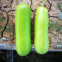 Cuiying Bottle Gourd Seeds, 10g