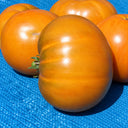 196 Kiwanis Tomato, 5 Seeds