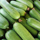 Baoli F1 Hybrid Hairy Gourd, 50 Seeds