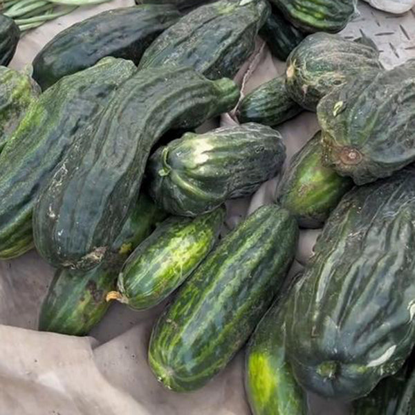 Black Ribbed Crisp Melon Seeds, 2g