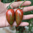 Zixia Tomato, 20 Seeds