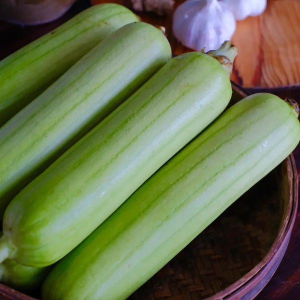 White Jade No.1 Luffa Seeds, 10g