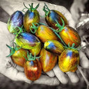 Brads Atomic Grape Heirloom Tomato, 20 Seeds