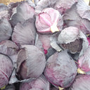 Zifeng Purple Cabbage Seeds, 1g